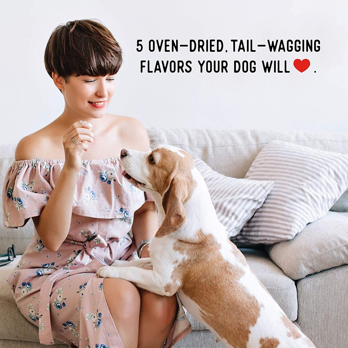 Dogs Love Chicken Jerky Dog Treats, Premium Two-Ingredient Dog Jerky with Usa-Raised Chicken, 3-Pound Bag