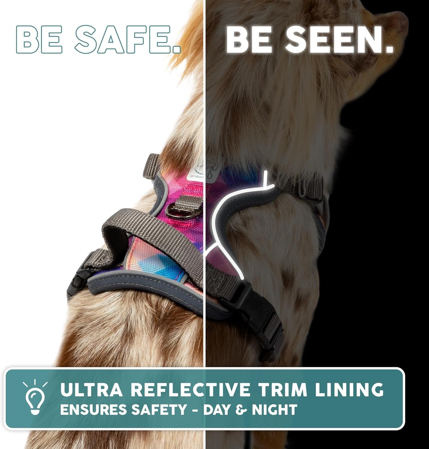 Embark Adventure Dog Harness, Reflective Trim No Pull Dog Harnesses for Small Sized Dogs - Military Grade Nylon, Front Clip with Gel Lined Handle.