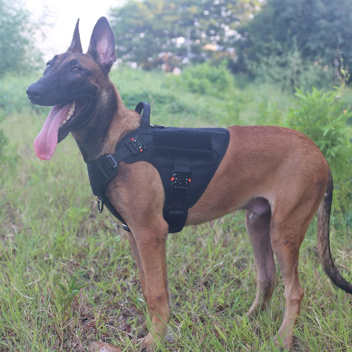 Tactical Dog Harness with 4X Metal Buckle,Working Dog MOLLE K9 Vest with Handle,No Pulling Front Clip,Adjustable Pet Harness for Meduim Dogs (M (25"-31" Chest), Black)